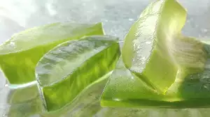 Květ Aloe Vera