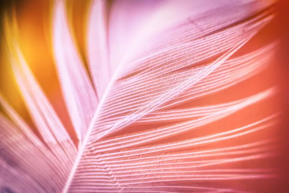 Nabídka Práce Jablunkov