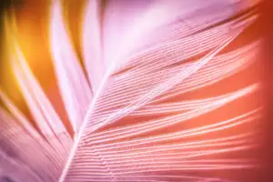 Nabídka Práce Jablunkov