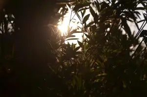 Doplňkové Penzijní Spoření Kdy Lze Vybrat